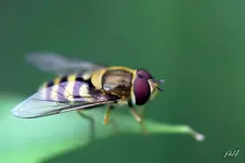 blog_7939.webp