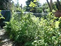 CIMG2648 (Large).webp
