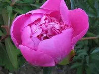 IMG_6060_1024x768.webp