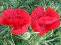 IMG_6064_1024x768.webp