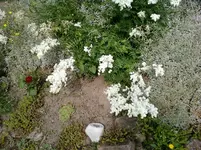 Foto-0071.webp
