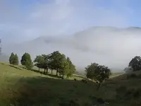 Morgenspaziergang (1).webp