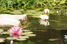 13.06 (21).webp