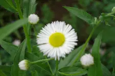 DSC02984.webp