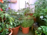 Balkon 10.webp