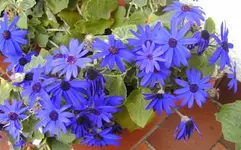 BILD0205222.webp