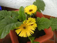 BILD0204444.webp