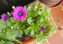 BILD0203333.webp