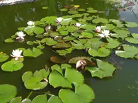CIMG0034.webp