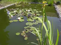 CIMG0036.webp