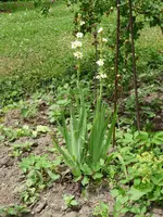 P1020425.webp