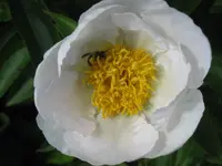 022.webp