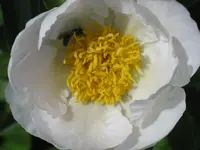 023.webp