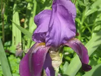 032.webp