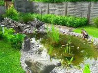 SDC10611.webp