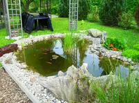 SDC10609.webp