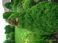 JD500775.webp