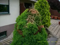 JD500777.webp