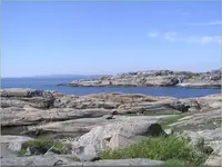 09.webp
