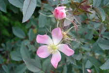 DSC03019.webp