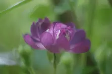 DSC03121.webp