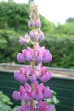 DSC03015.webp