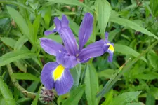 DSC02989.webp