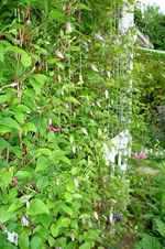 DSC03027.webp