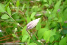 DSC03028.webp