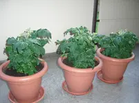 CIMG3250.webp