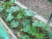 100_1224.webp