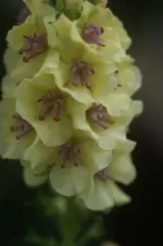 DSC03124.webp