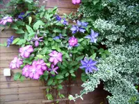 LPIC1694.webp