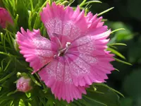 IMG_6084_1024x768.webp
