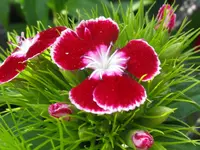 IMG_6085_1024x768.webp