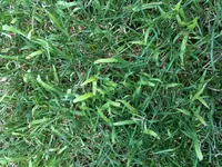 Foto.webp