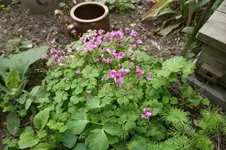DSC03116.webp