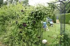 DSC03114.webp