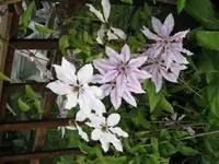 IMG_0193.webp