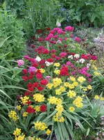 IMG_0192.webp