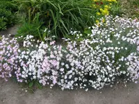 IMG_0189.webp