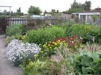 IMG_0200.webp