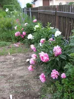 IMG_0190.webp