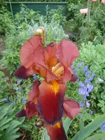 DSC00285.webp