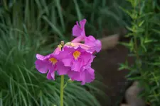 DSC04644.webp