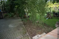 14.06 (39).webp