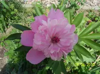 100_2479.webp