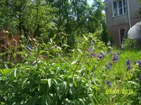 100_2483.webp