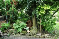 14.06 (3).webp
