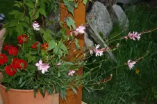 14.06 (38).webp